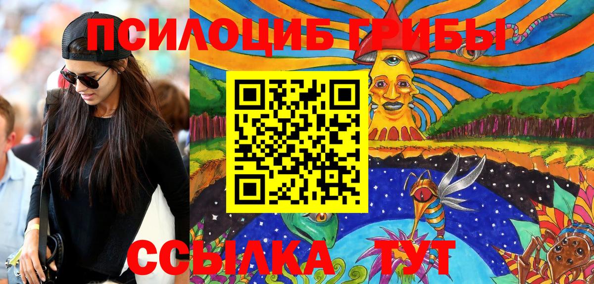 Галлюциногенные грибы мицелий Великий Устюг